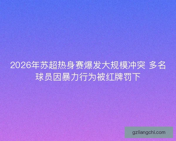 2026年苏超热身赛爆发大规模冲突 多名球员因暴力行为被红牌罚下
