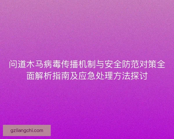 问道木马病毒传播机制与安全防范对策全面解析指南及应急处理方法探讨