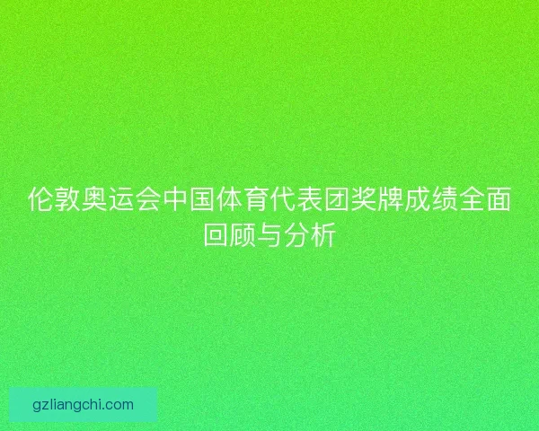 伦敦奥运会中国体育代表团奖牌成绩全面回顾与分析