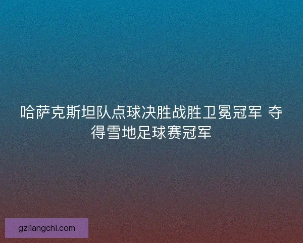 哈萨克斯坦队点球决胜战胜卫冕冠军 夺得雪地足球赛冠军
